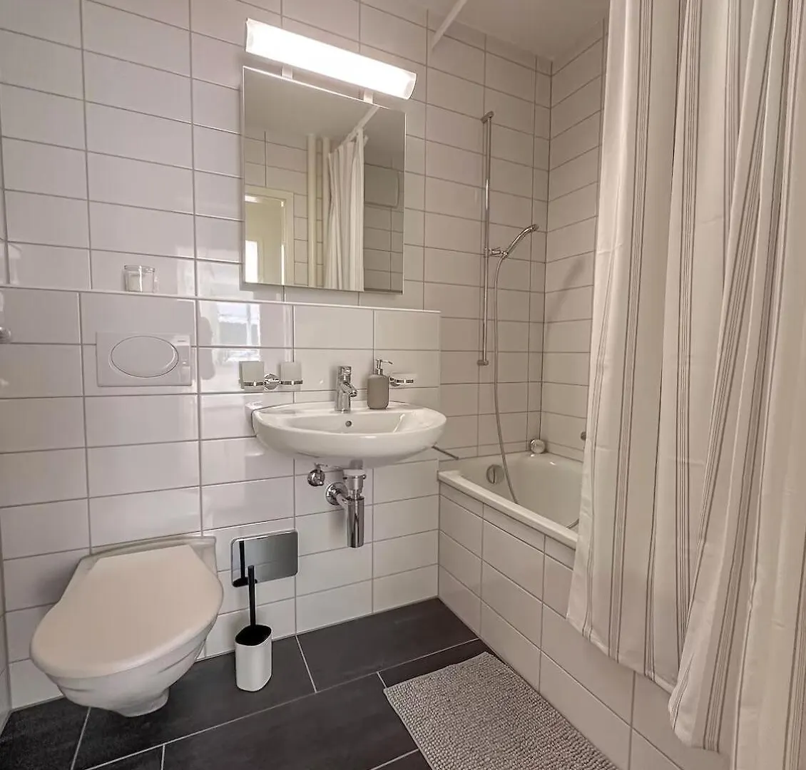 Central Studio Apartment With Free Baselcard - Dali  バーゼル